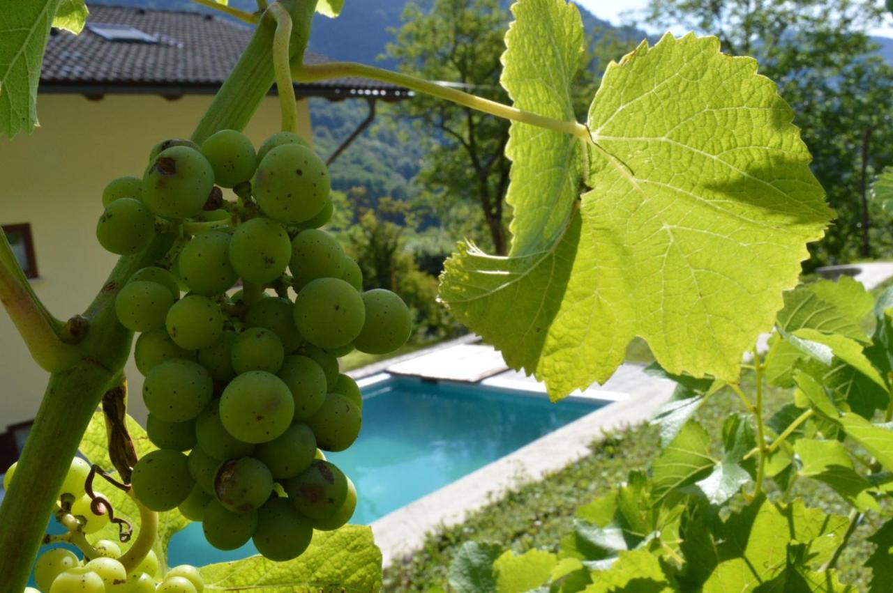 Holiday Home Jelovcerjeva Idrija pri Baci Luaran gambar